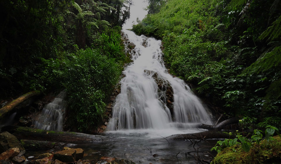 munyaga waterfall bwindi