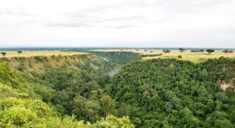 Kyambura-gorge