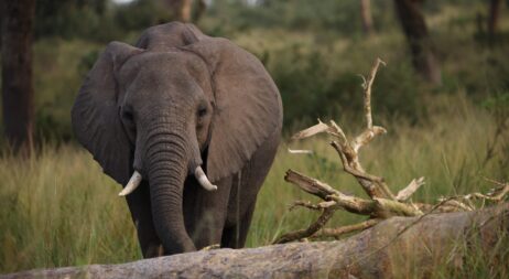 PHOTO-2025-04-09-12-12-49 17