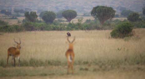 PHOTO-2025-04-09-13-36-04 8