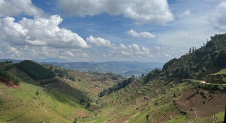Kigezi Terraced Hills
