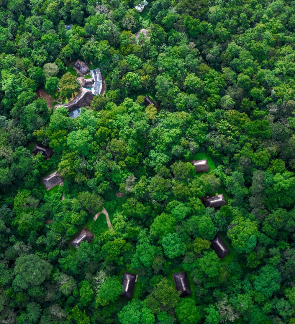 Ariel View - PLK